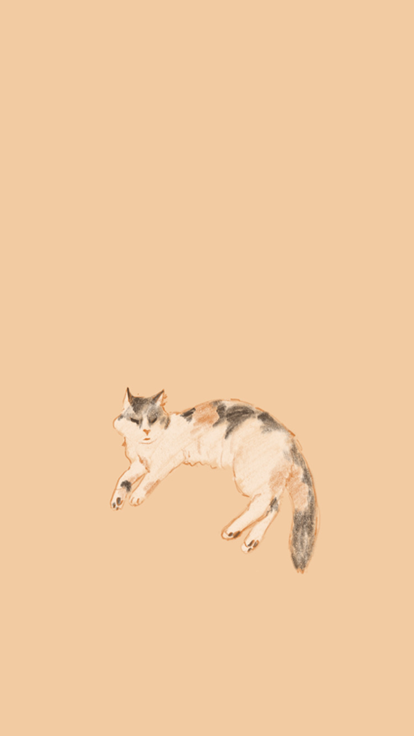 Illustrations 1 2