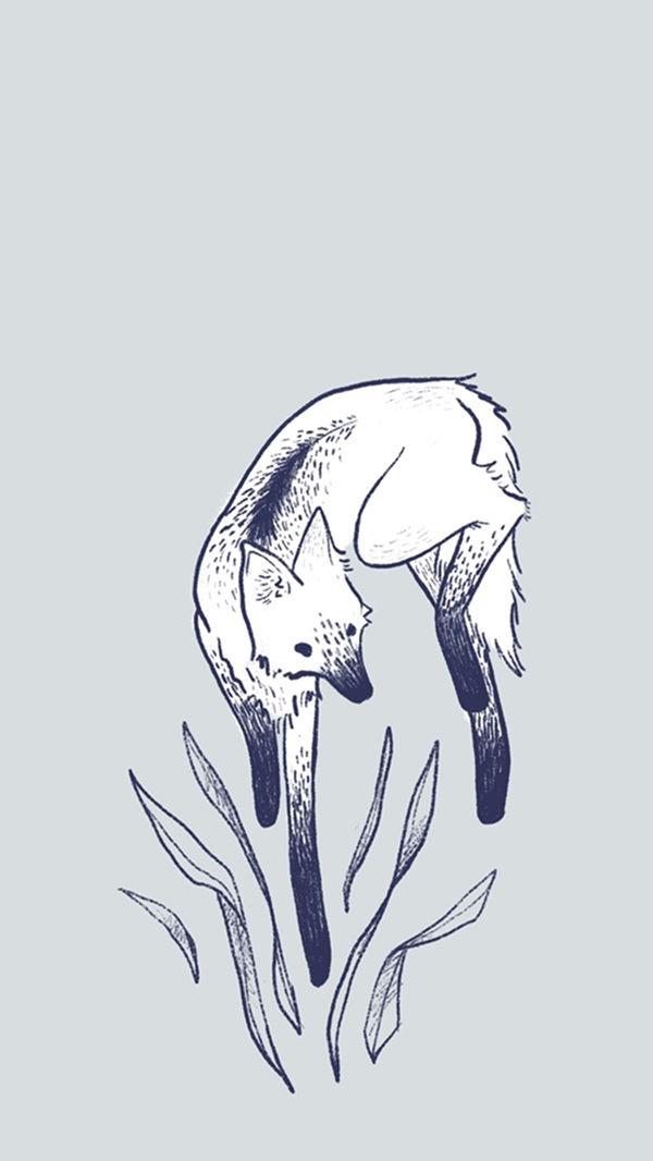 Illustrations 1 3