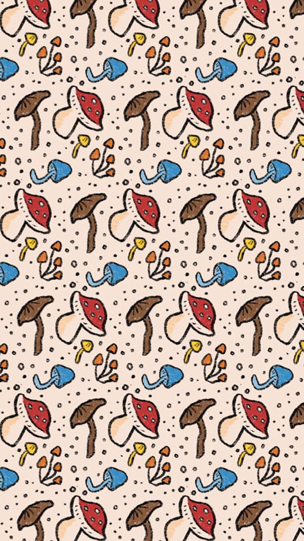 Illustrations 1 5